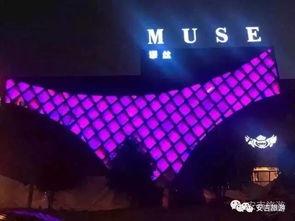 夜猫福利视频国产,国产品质生活新体验